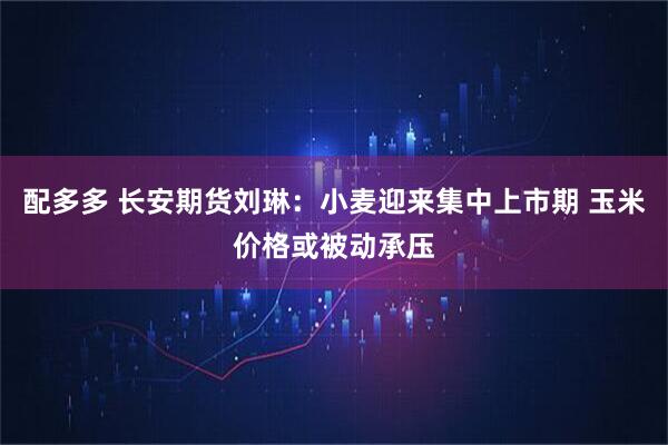 配多多 长安期货刘琳：小麦迎来集中上市期 玉米价格或被动承压