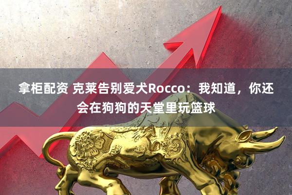 拿柜配资 克莱告别爱犬Rocco：我知道，你还会在狗狗的天堂里玩篮球