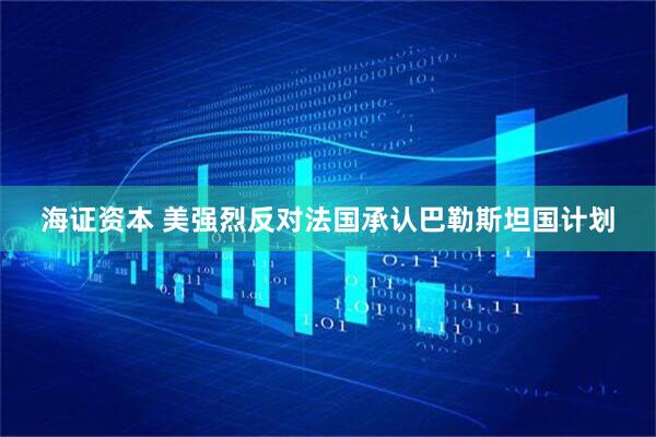 海证资本 美强烈反对法国承认巴勒斯坦国计划