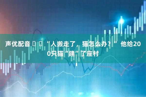 声优配音 ​​“人搬走了，猫怎么办？” 他给200只猫“建”了座村