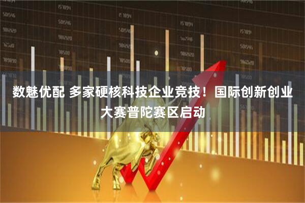 数魅优配 多家硬核科技企业竞技！国际创新创业大赛普陀赛区启动